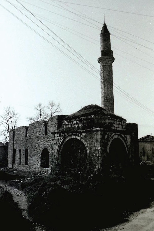 Manja slika